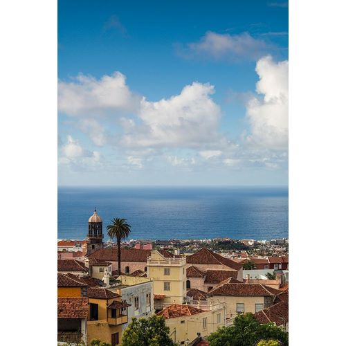 Canary Islands-Tenerife Island-La Orotava-elevated town view